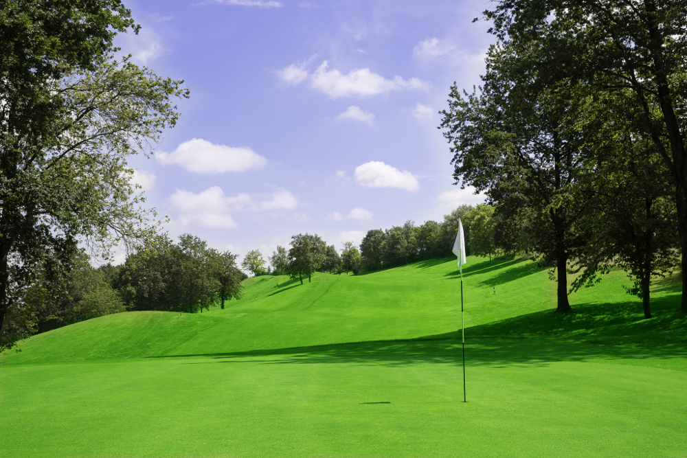 Castell' Arquato Golf Club gallery 60